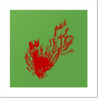 Deer (red) Posters and Art